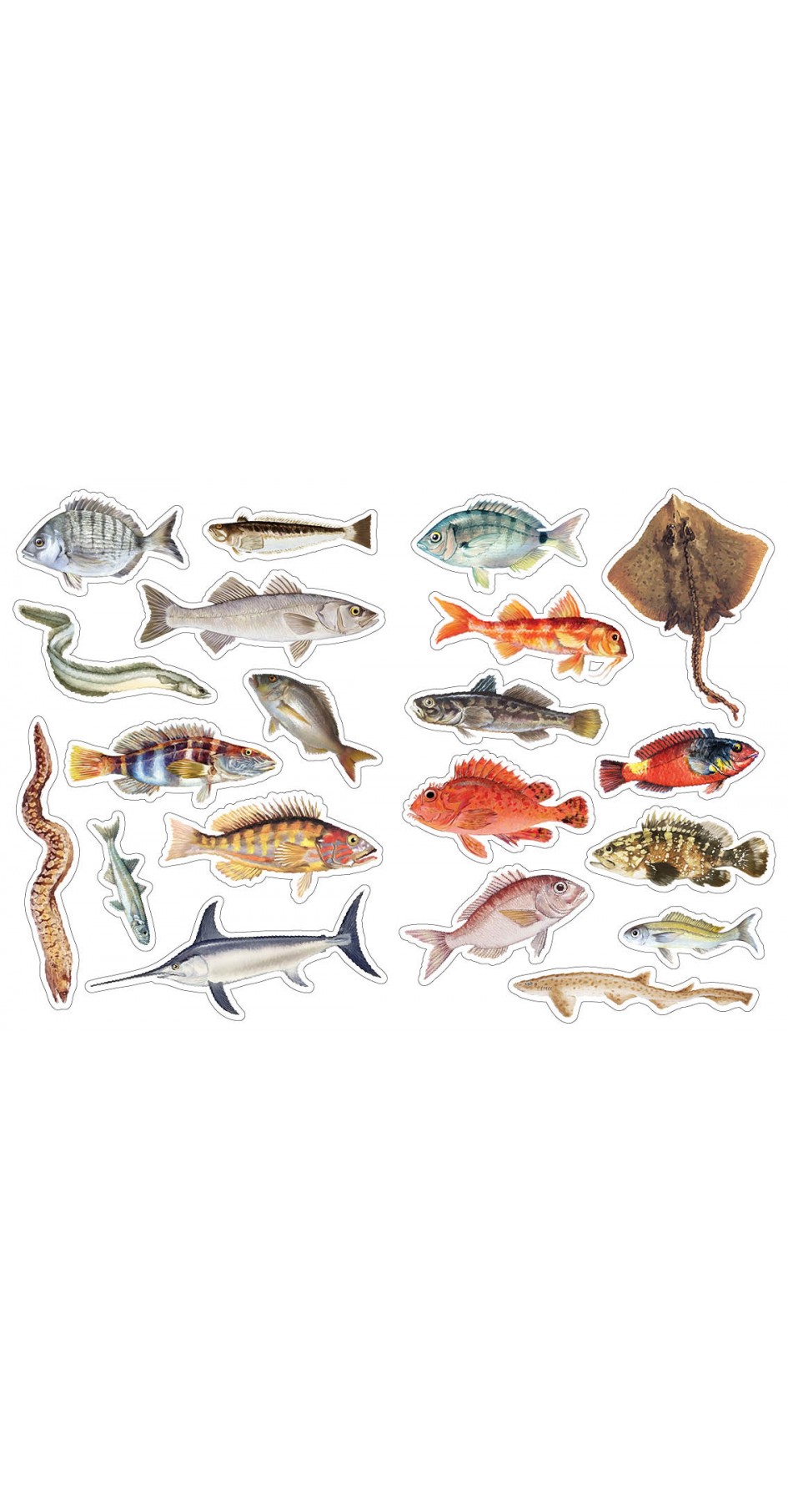 Fish of Greece, Sticker book Fish of Greece, Sticker book