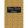 New York Select Insight Guides
