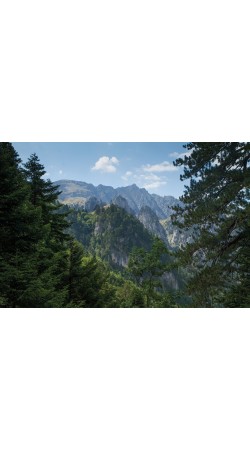 Walking and Trekking in Zagori 