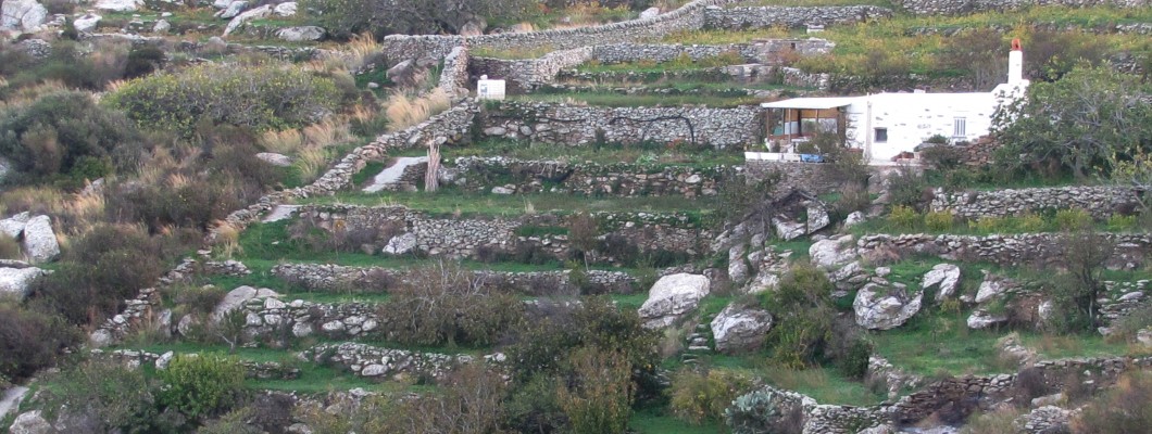 Πάρος: Πεζοπορία από τη Μονή Λογγοβάρδας στις Λεύκες (Διαδρομή 3)