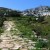 Hiking in Paros footpath 1 from Paroikia to Prodromos