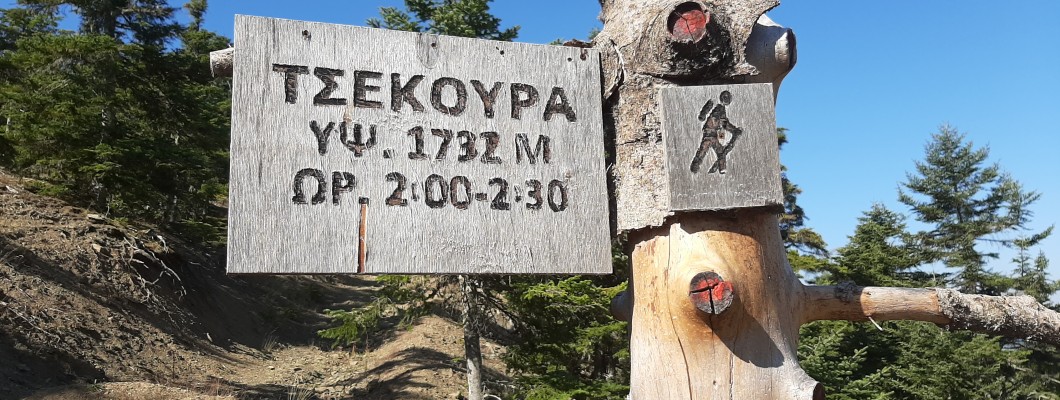 Upland Nafpaktia: Hiking to Tsekoura Peak