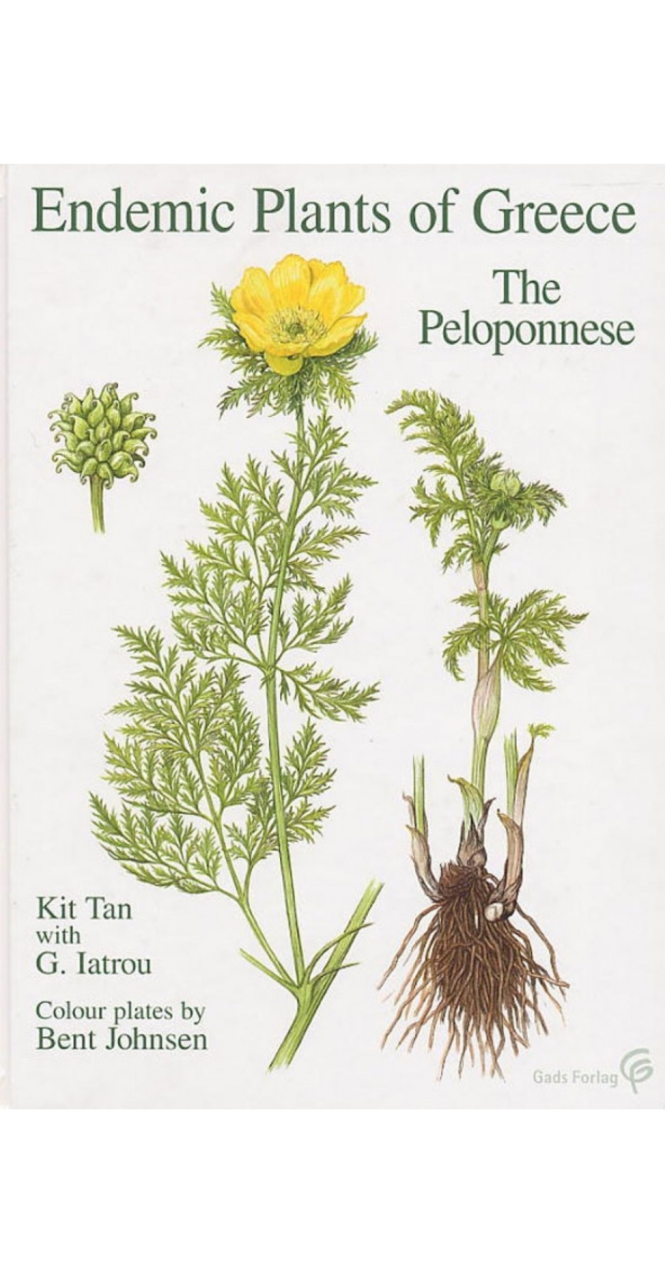 Endemic Plants of Greece: The Peloponnese