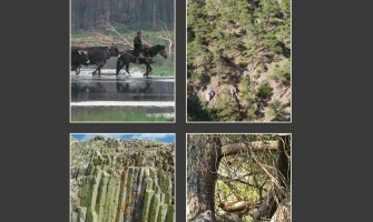 People, landscapes and birds of prey in the forest of Dadia