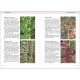 Olympic Flowers - Field guide to the flora of Mt Olympus (βιβλίο στα Αγγλικά)