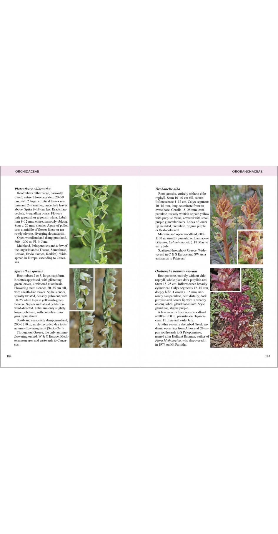 Olympic Flowers - Field guide to the flora of Mt Olympus (βιβλίο στα Αγγλικά)