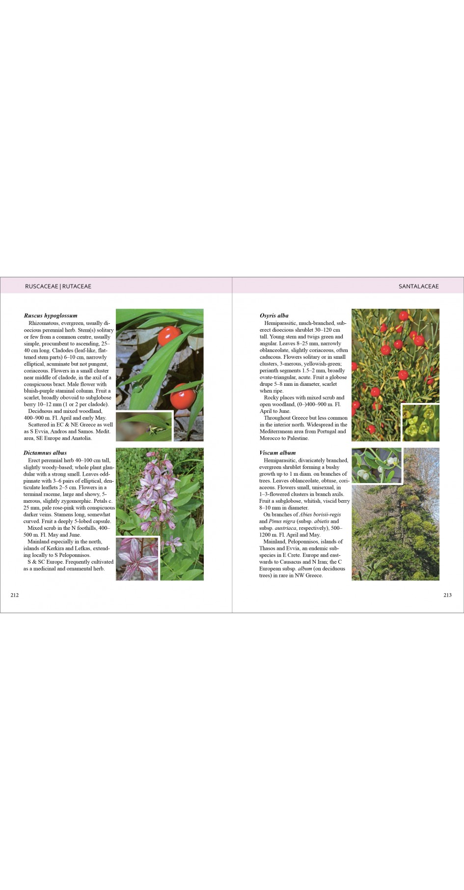 Olympic Flowers - Field guide to the flora of Mt Olympus (βιβλίο στα Αγγλικά)