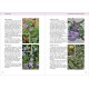 Olympic Flowers - Field guide to the flora of Mt Olympus (βιβλίο στα Αγγλικά)