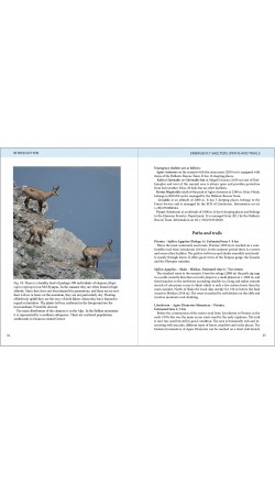 Olympic Flowers - Field guide to the flora of Mt Olympus (βιβλίο στα Αγγλικά)