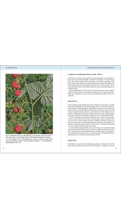 Olympic Flowers - Field guide to the flora of Mt Olympus (βιβλίο στα Αγγλικά)