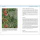 Olympic Flowers - Field guide to the flora of Mt Olympus (βιβλίο στα Αγγλικά)