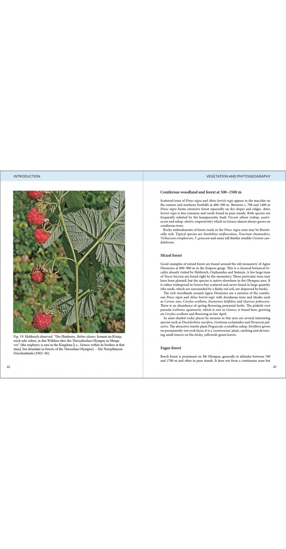 Olympic Flowers - Field guide to the flora of Mt Olympus (βιβλίο στα Αγγλικά)
