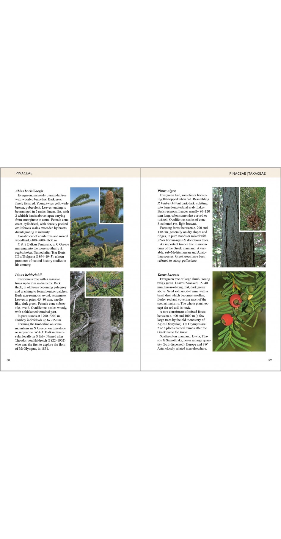 Olympic Flowers - Field guide to the flora of Mt Olympus (βιβλίο στα Αγγλικά)