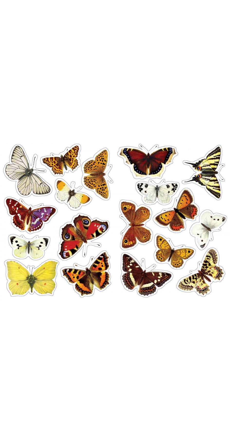 Butterflies of Greece, Sticker book