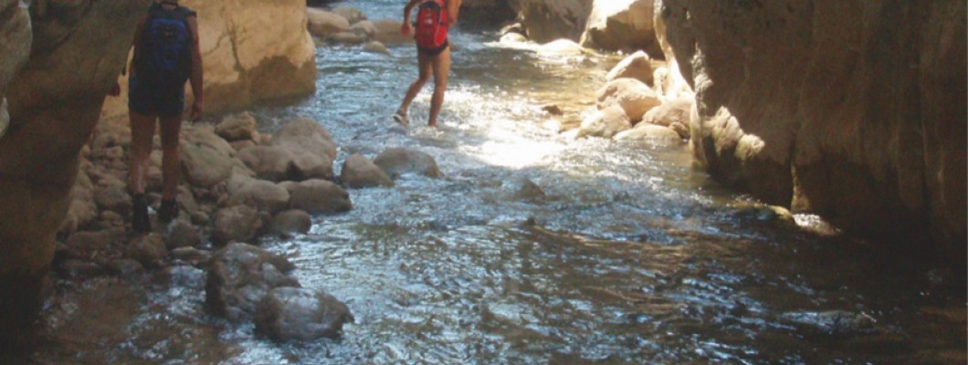 River trekking in Neda Gorge – Figaleia