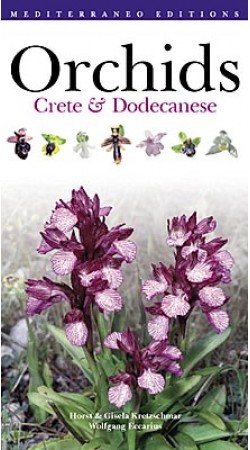 Orchids - Crete & Dodekanese