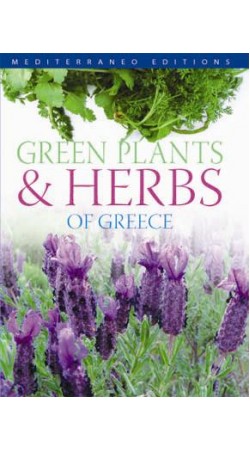 Green plants and herbs of Greece